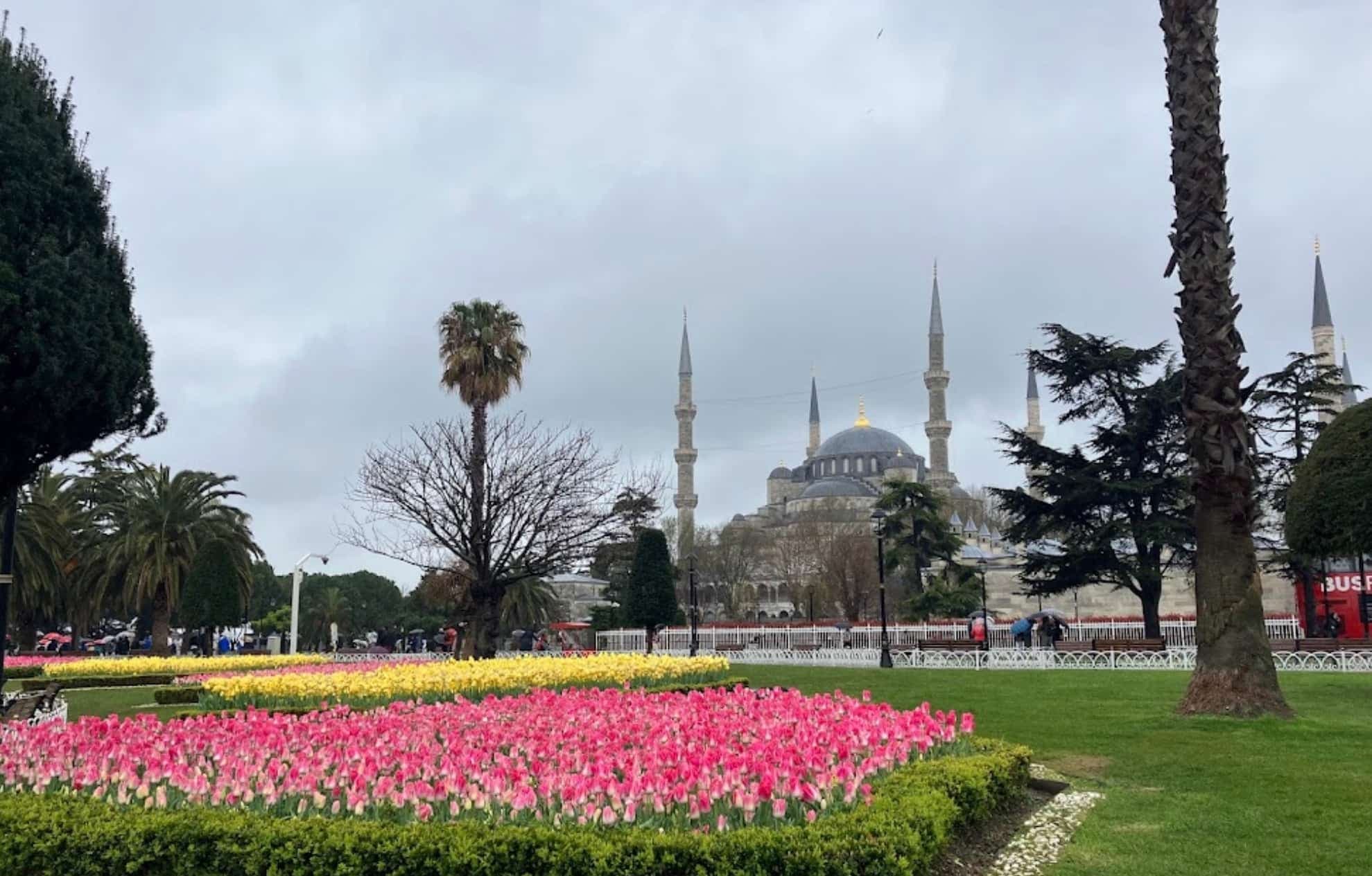 Мечеть Султанахмет весной